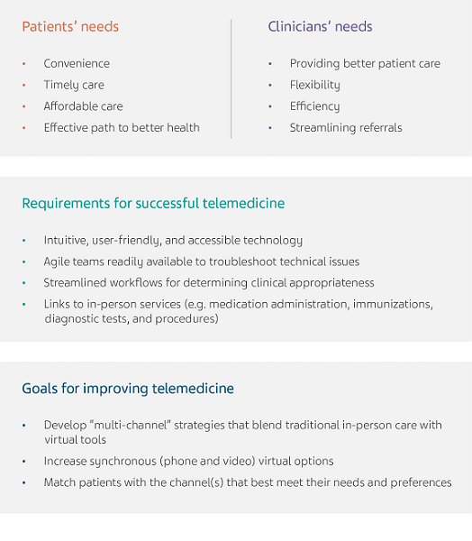 Gray text boxes that list patients’ needs, clinicians’ needs, requirements, and goals for telemedicine.