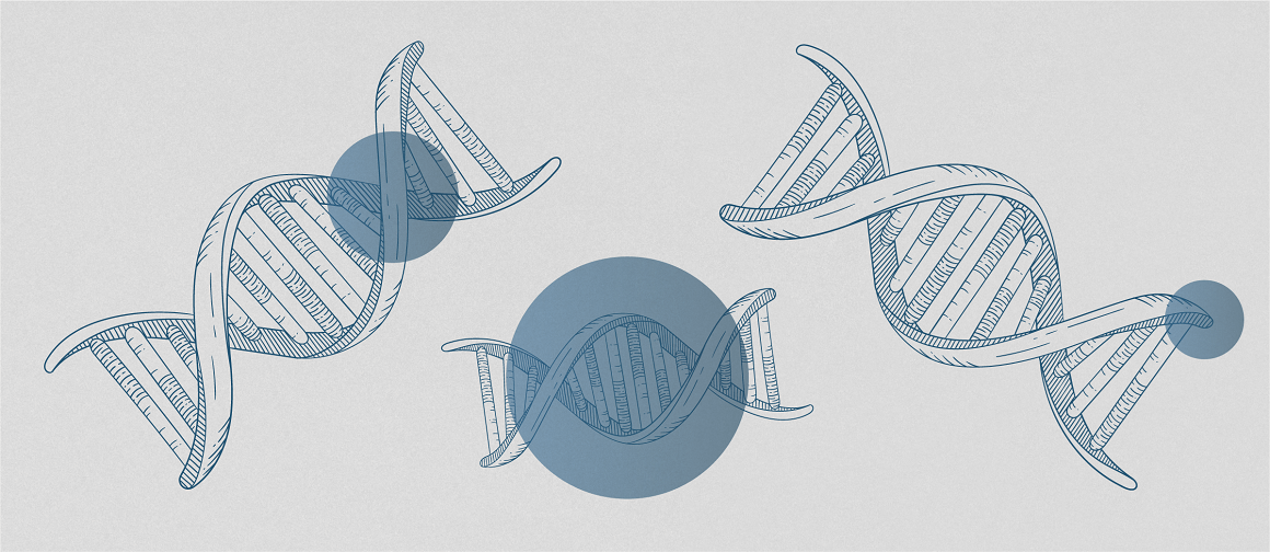 Drawing including three DNA molecules and three big blue dots.