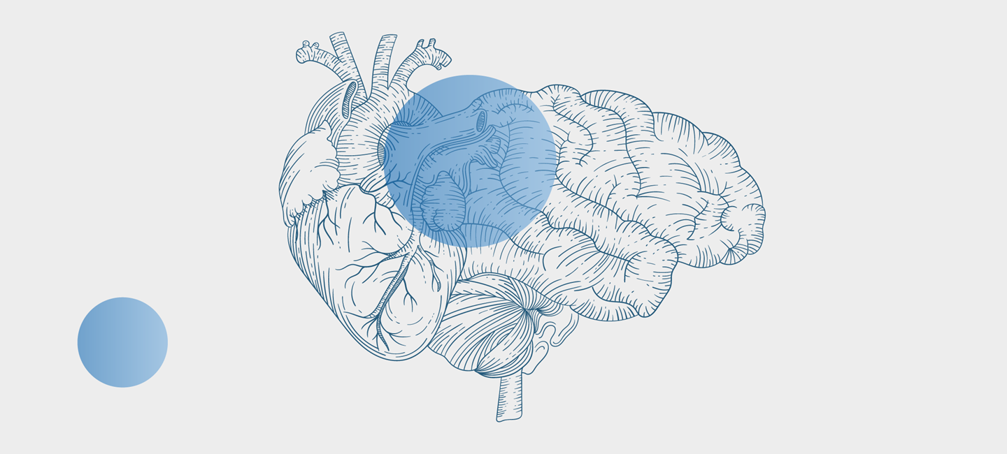 Illustration of a brain overlaid with a semi-transparent blue circle.