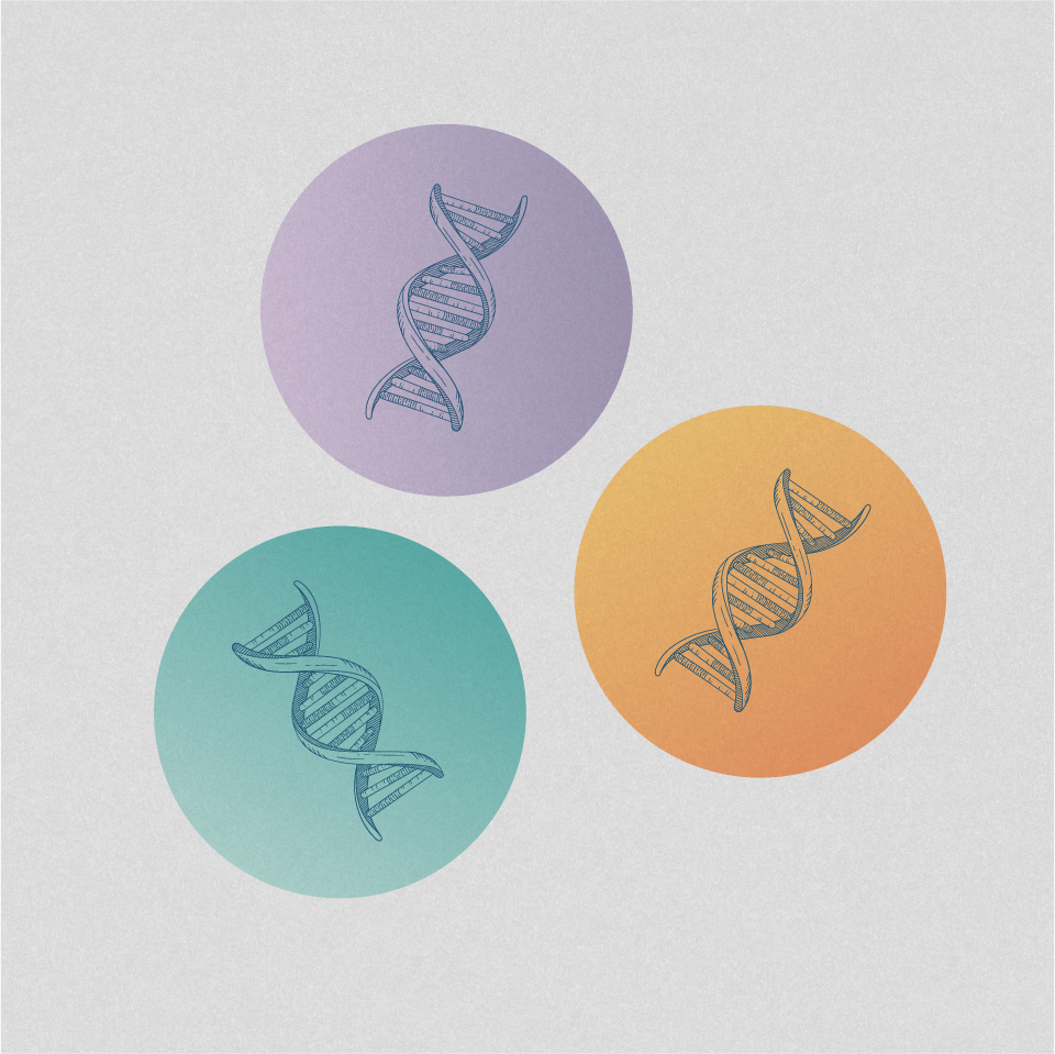 Illustration of three DNA double-helix molecules placed from left to right on purple, orange, and green circles on a gray background. 