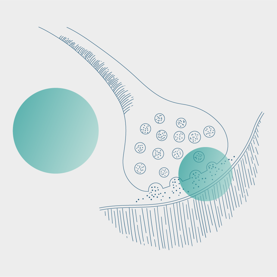 Illustration of a close-up view of a synaptic bouton with vesicles releasing neurotransmitters, with two transparent green dots overlaid on top.